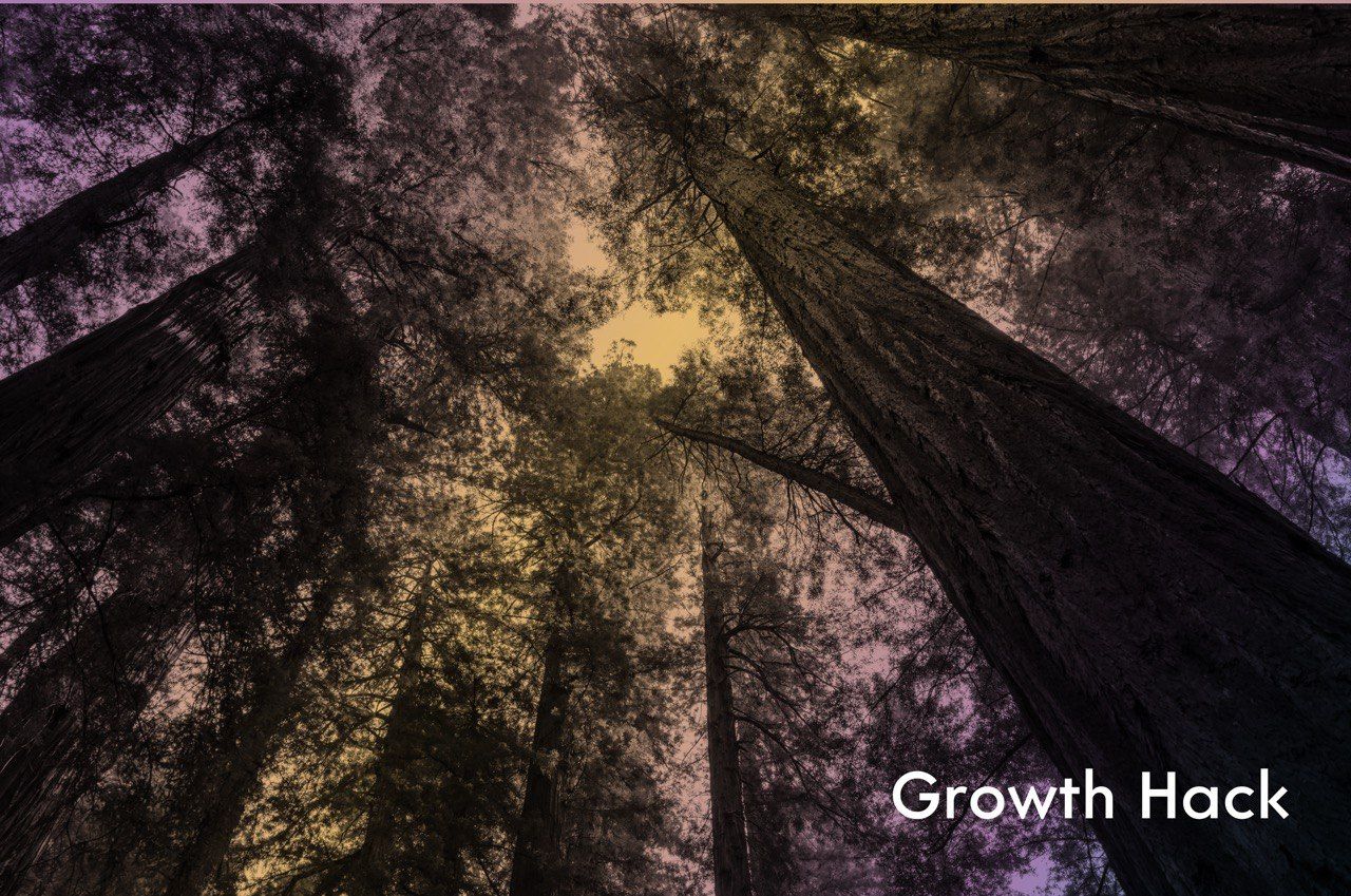 https://kod.ru/growth-hacking/
