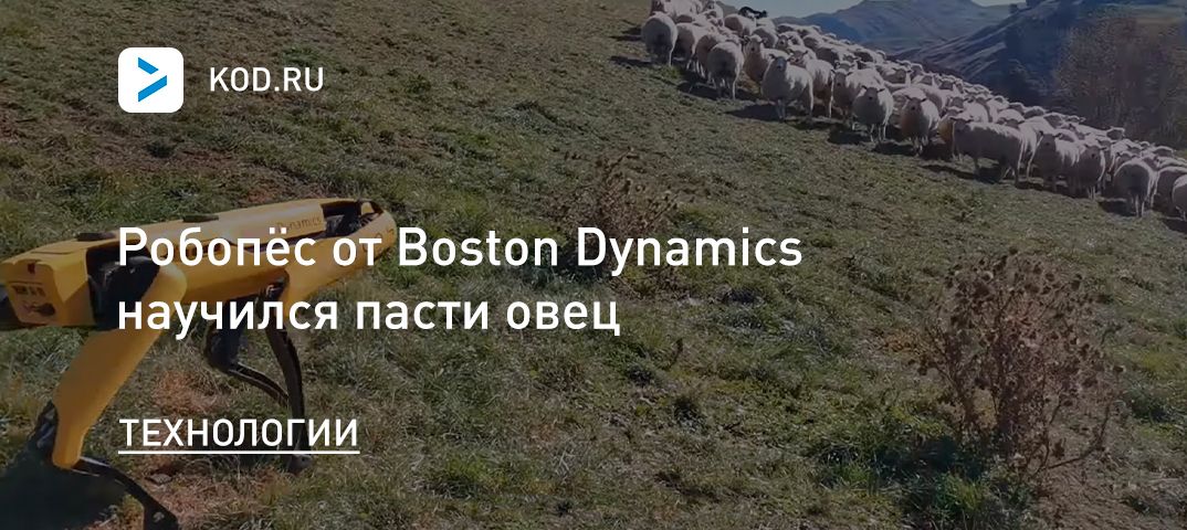 Робопёс от Boston Dynamics научился пасти овец