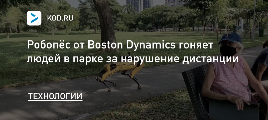 Робопёс от Boston Dynamics гоняет людей в парке за нарушение дистанции