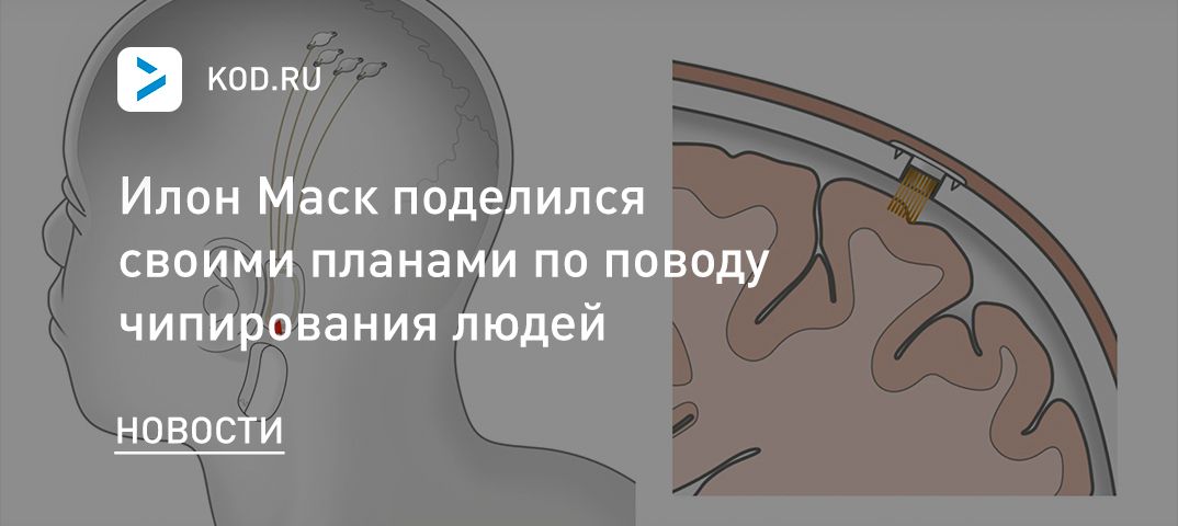 Илон Маск поделился своими планами по поводу чипирования людей