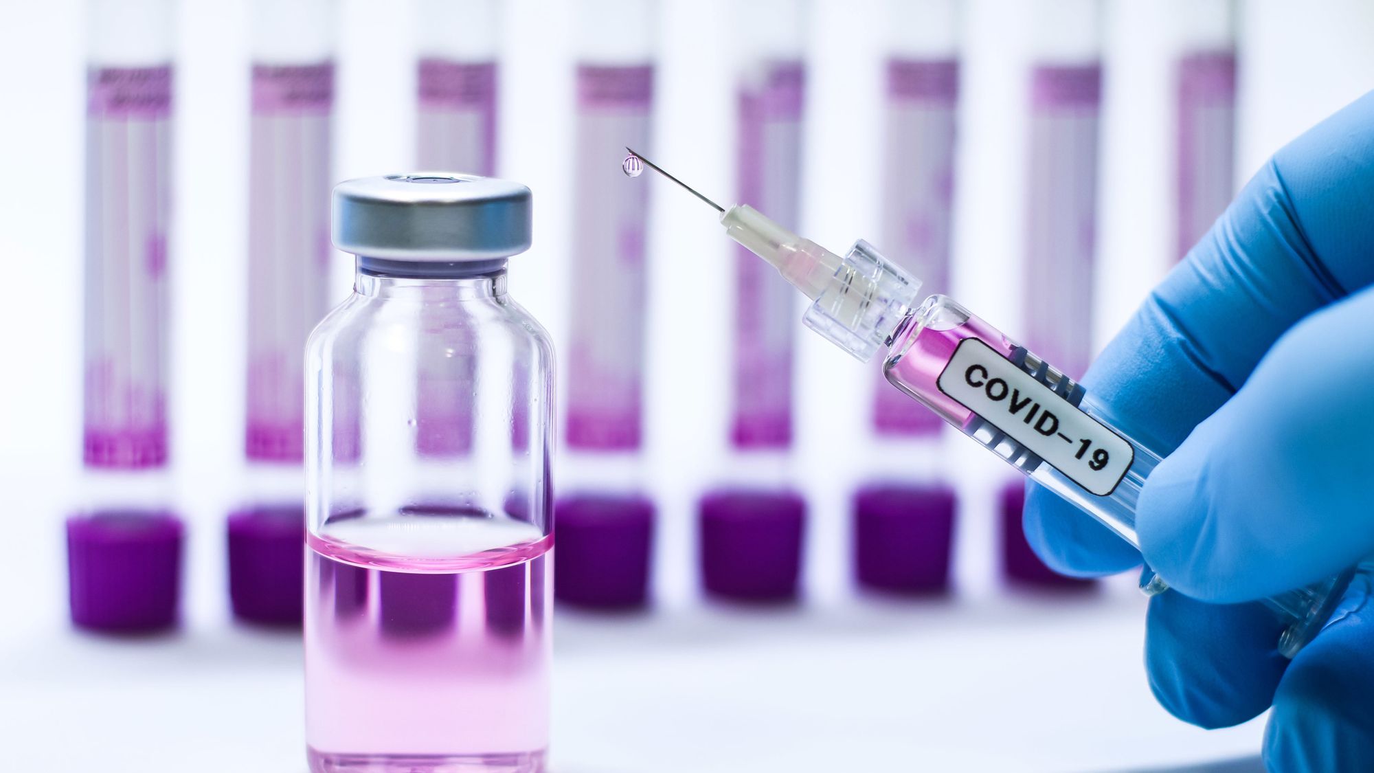 vaccina.jpg