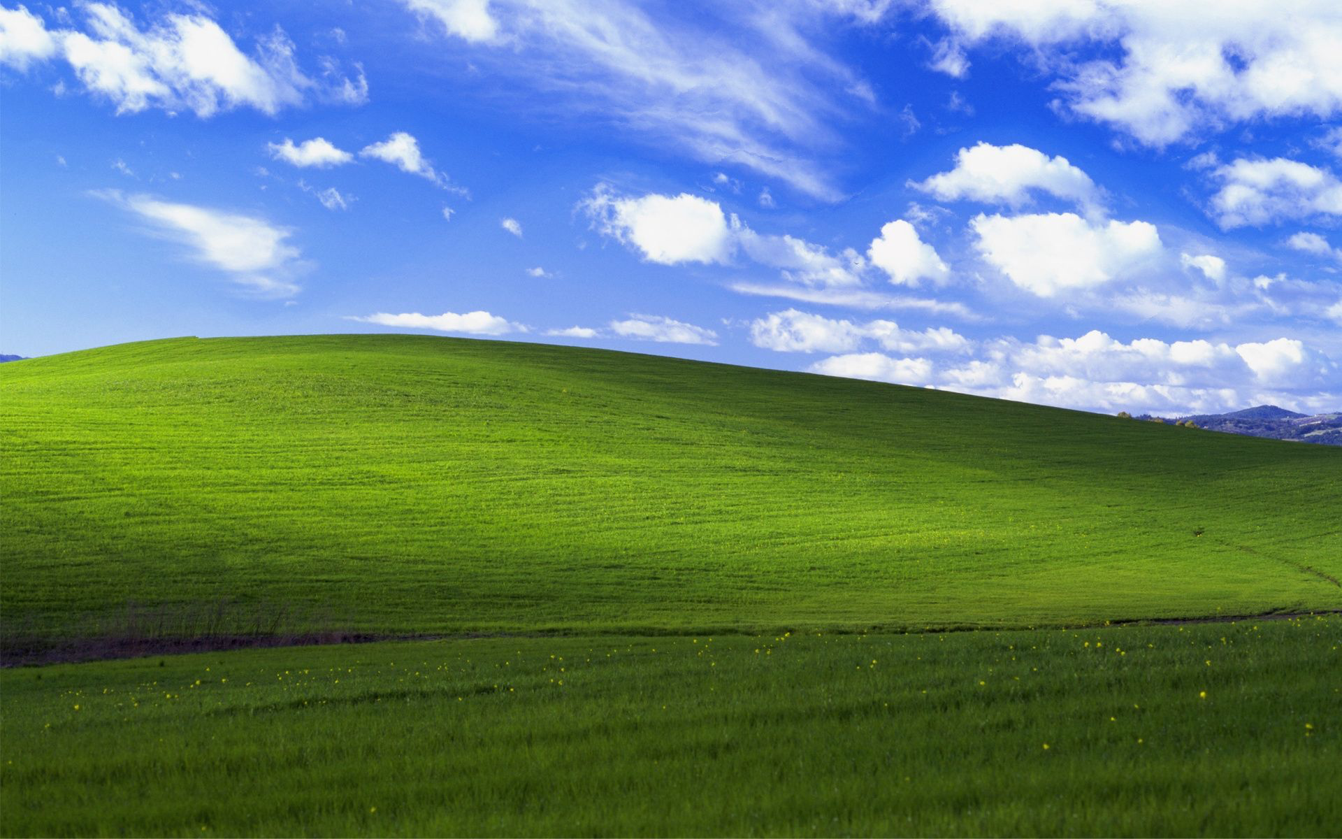 image-10.png