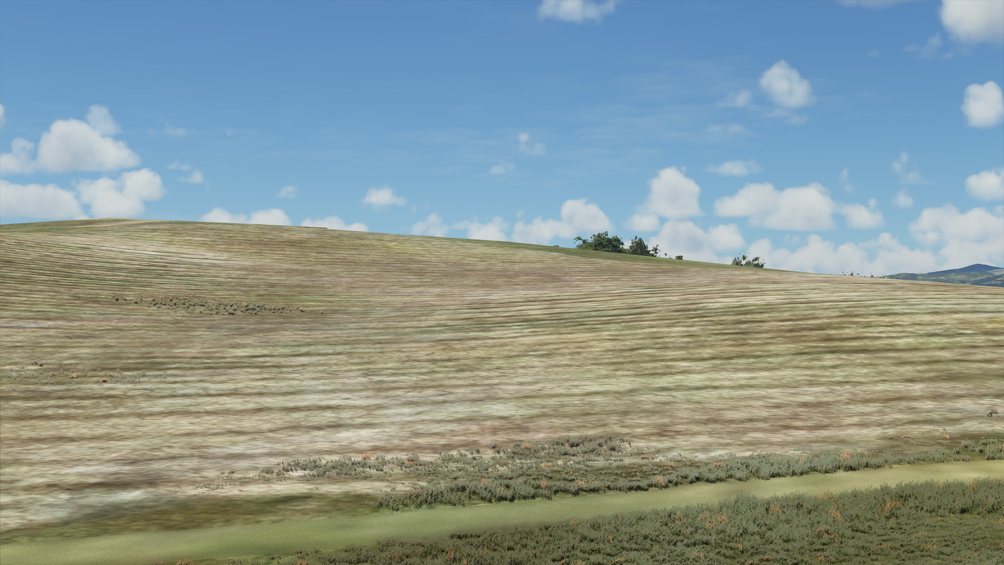image-12.png