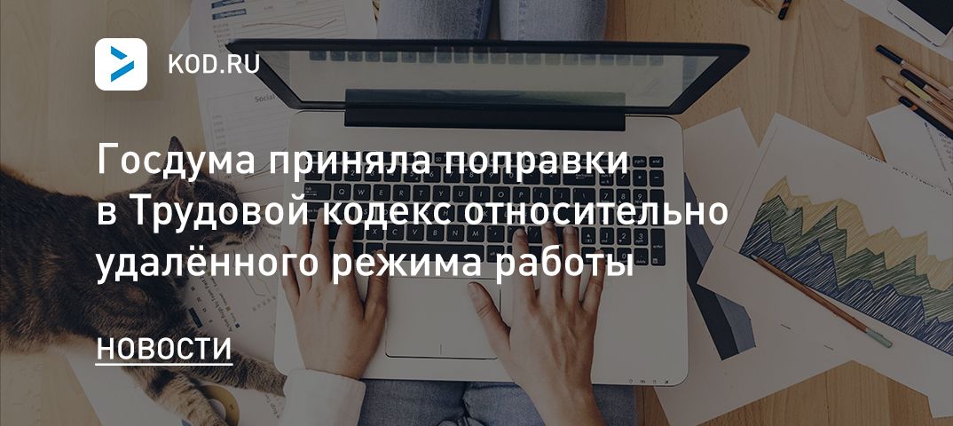 Госдума приняла поправки в Трудовой кодекс относительно удалённого режима работы
