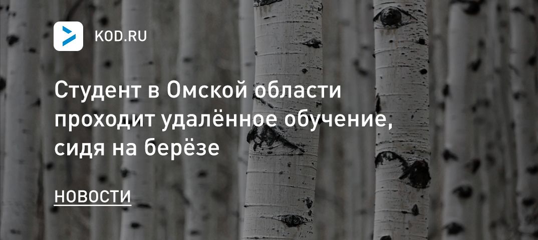 Студент в Омской области проходит удалённое обучение, сидя на берёзе