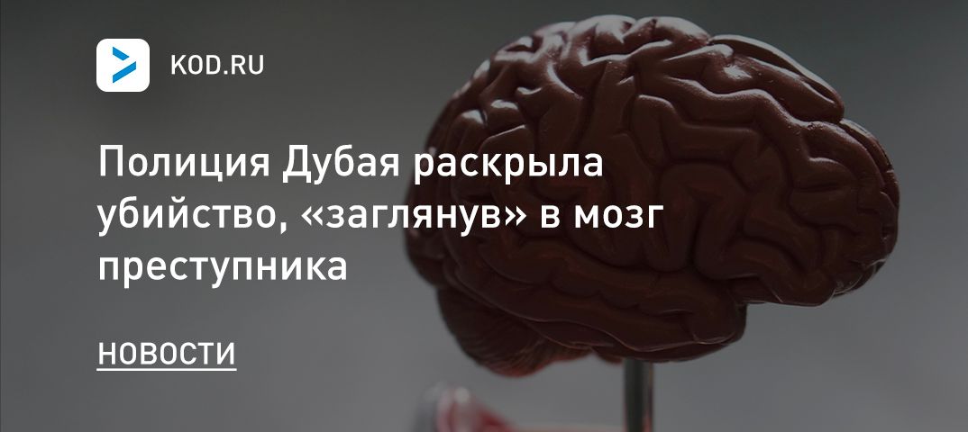 Полиция Дубая раскрыла убийство, «заглянув» в мозг преступника