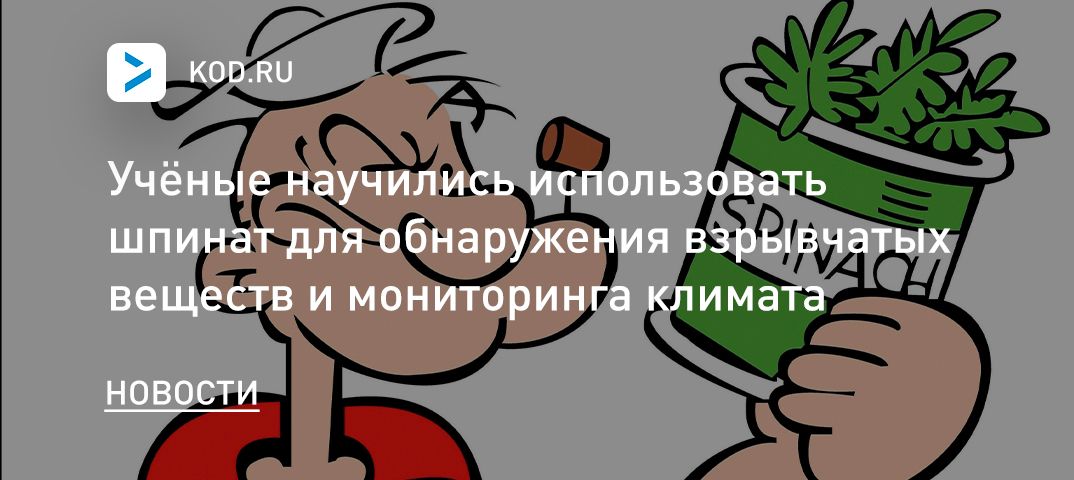 Учёные научились использовать шпинат для обнаружения взрывчатых веществ и мониторинга климата