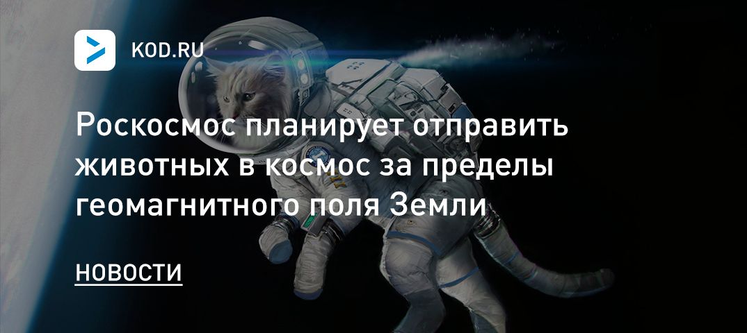 Роскосмос планирует отправить животных в космос за пределы геомагнитного поля Земли
