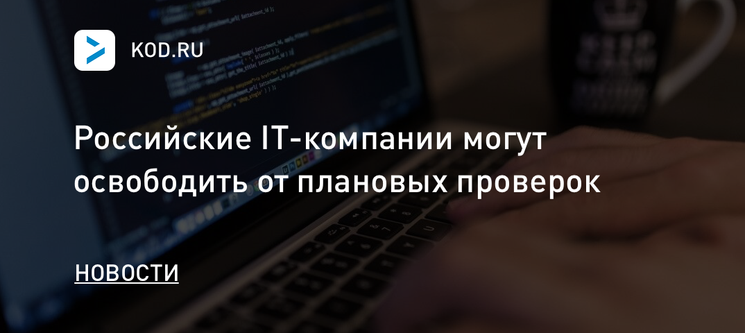 Российские IT-компании могут освободить от плановых проверок