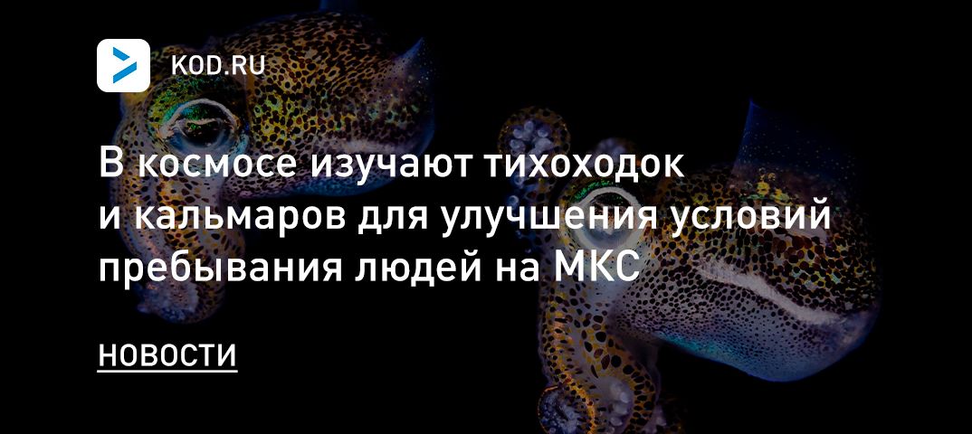 В космосе изучают тихоходок и кальмаров для улучшения условий пребывания людей на МКС