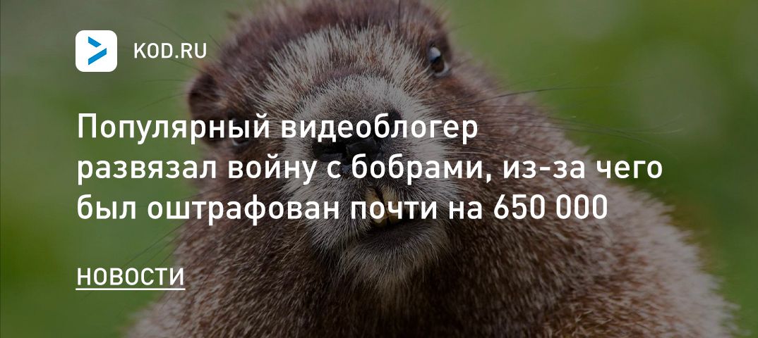 Популярный видеоблогер развязал войну с бобрами, из-за чего был оштрафован почти на 650 000 рублей