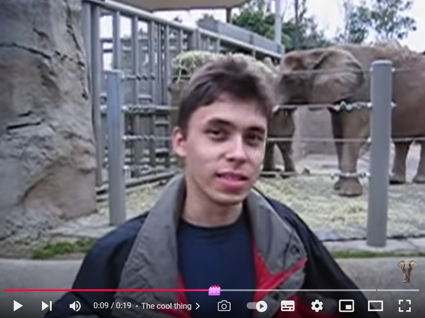 Первому видео на YouTube исполнилось 20 лет